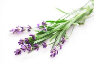 Aromatherapy for Dementia Patients